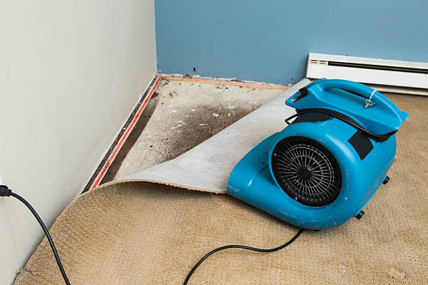 Water damage restoration mold remediation in Conashaugh Lakes, PA
